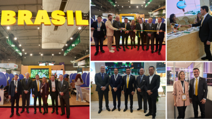 MTur na IBTM