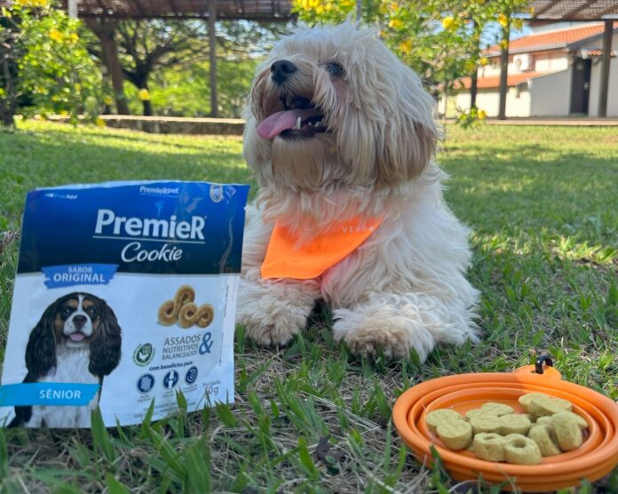 Parceria Clara Resorts e Premier Pet