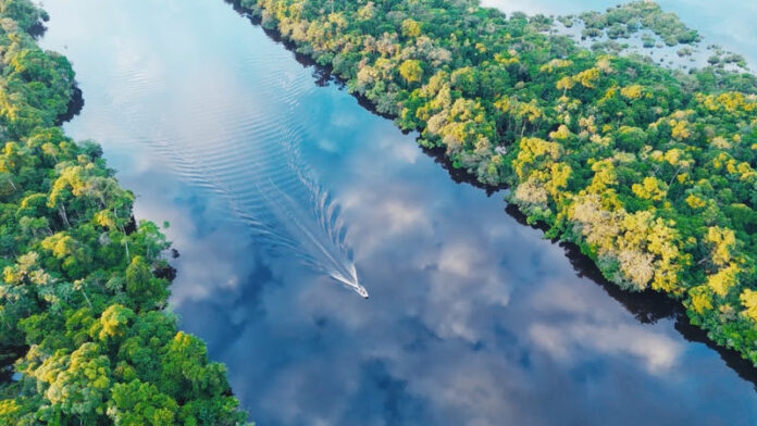 Amazônia