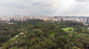 São Paulo