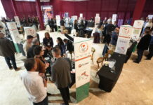 5ª edição do roadshow I Love Italian Wines recebe 1.200 visitantes
