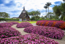 Joinville promove programação cultural diversificada na primavera