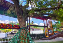 Parque Vila Encantada reúne experiências únicas no Dia da Árvore
