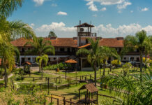 Confira 5 passeios para curtir o feriado prolongado em SP