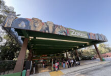 Zoo e Jardim Botânico de SP oferecem entrada grátis para eleitores