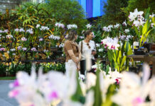 86ª Festa das Flores de Joinville terá experiências especiais
